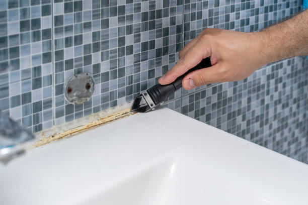 Best Black Mold Removal  in Rossmoor, NJ