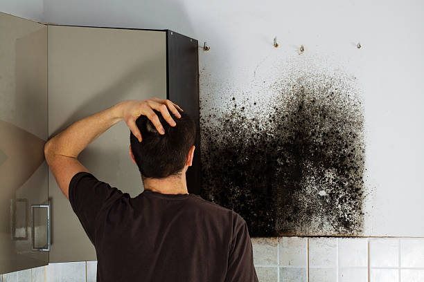 Best Water Damage Restoration  in Rossmoor, NJ